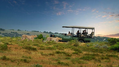 Shamwari Bayethe Tented Lodge