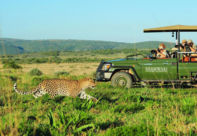 Game Drive