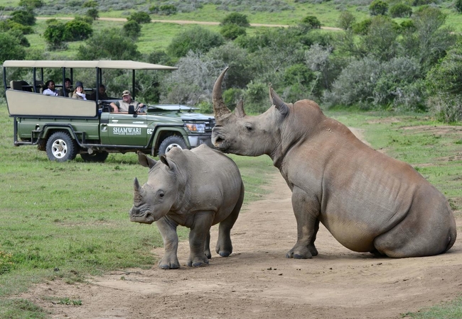 Game Drive