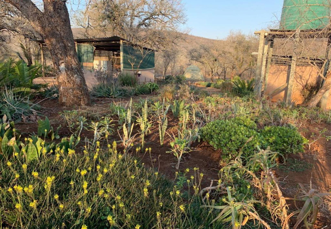 Shayamoya Rustic Bush Camp