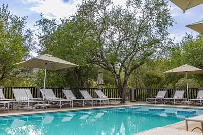 Shepherd's Tree Game Lodge
