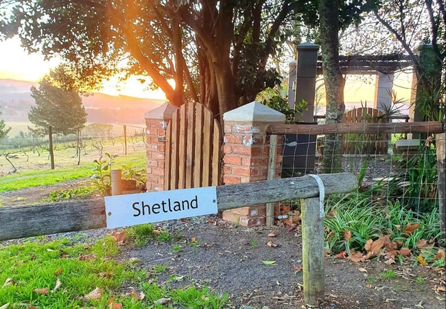 Shetland Cottage