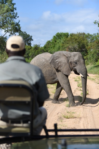Shumbalala Game Lodge