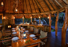 Forest Camp Dining Area