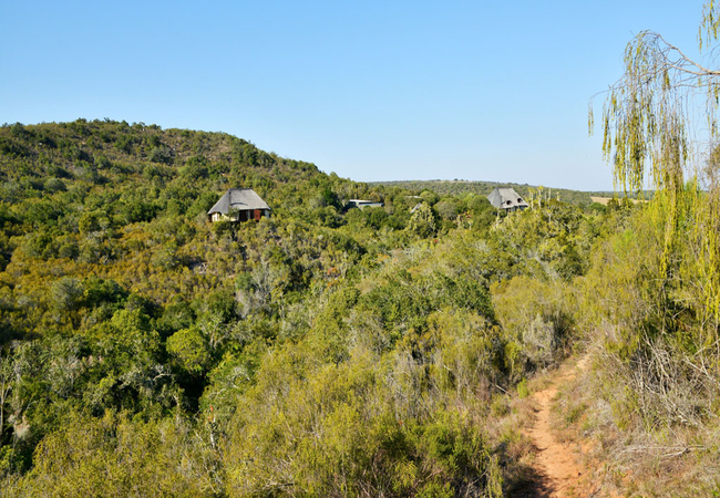View of Bush Lodge