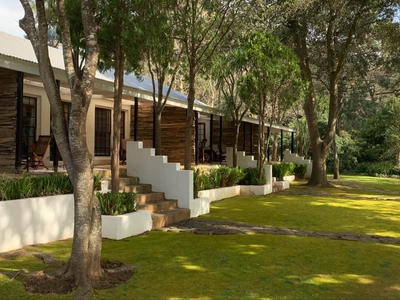 Silvermist Wine Estate