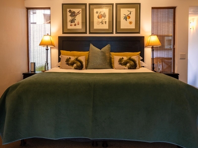 Squirrel Ridge Suites - Large King/Twins