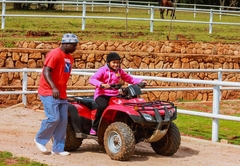 Silver Mist Resort in Haenertsburg, Limpopo