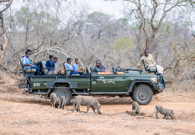 Simbambili Game Lodge