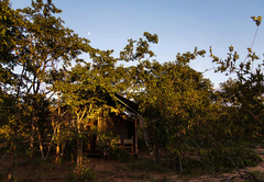 Simbavati Trails Camp