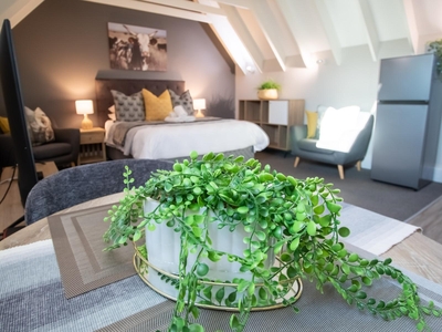 Skyfall Loft 201