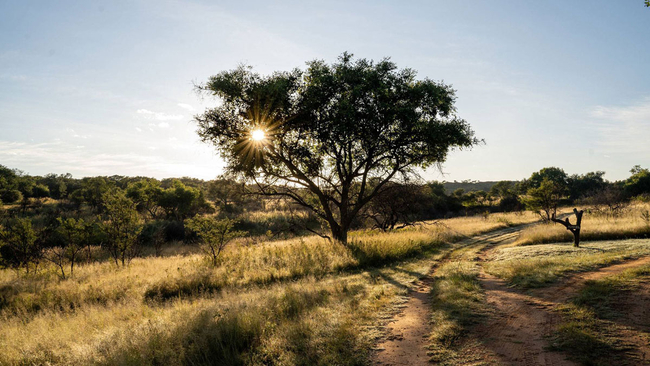 Somabula Nature Reserve