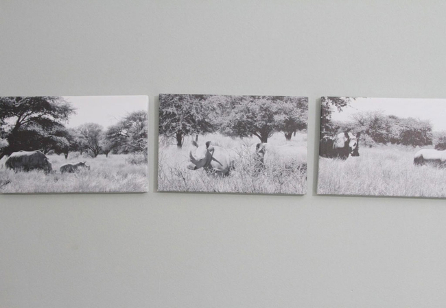 King Room with Garden View