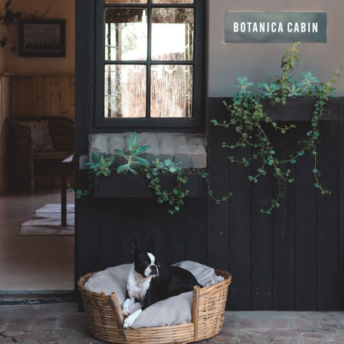 Exclusive Use Holiday Cottage