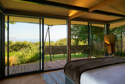 Signature Nature Suite