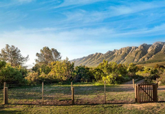 The view from Steenbok Farm Cottage