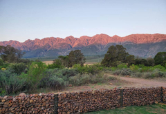 The view from Steenbok Farm Cottage