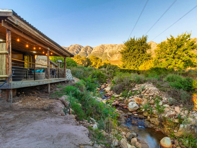 Steenbok Wild Olive Cottage