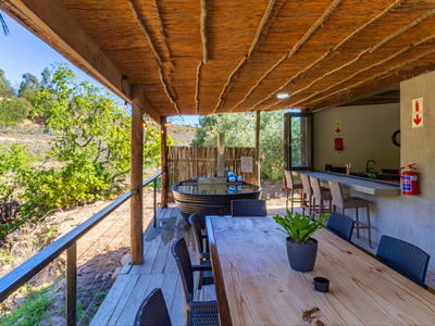 Steenbok Wild Olive Cottage