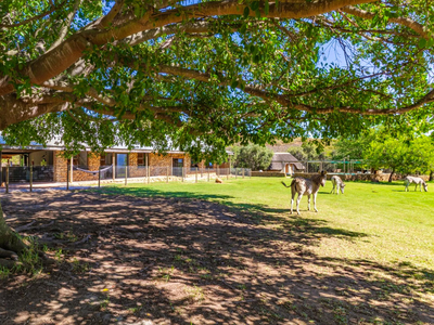 Exclusive Use Holiday Home