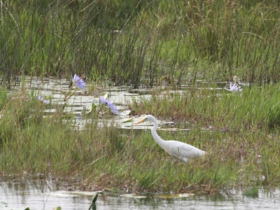 St Lucia Ocean View Lodge