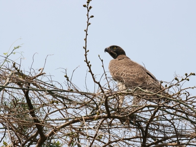 St Lucia Ocean View Lodge