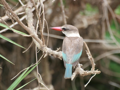 St Lucia Ocean View Lodge