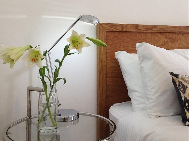 Superior One-Bedroom Apartment