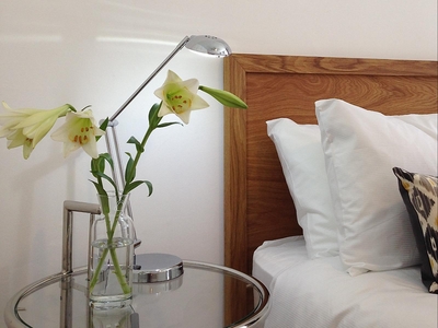 Superior One-Bedroom Apartment