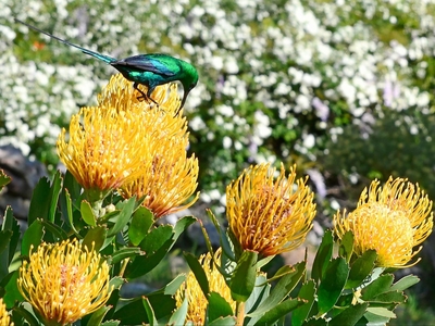 Stonehedge Valley View Cottage