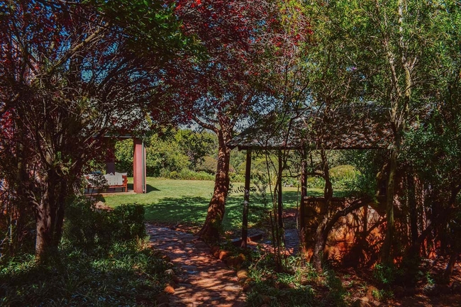 Braai area and gardens