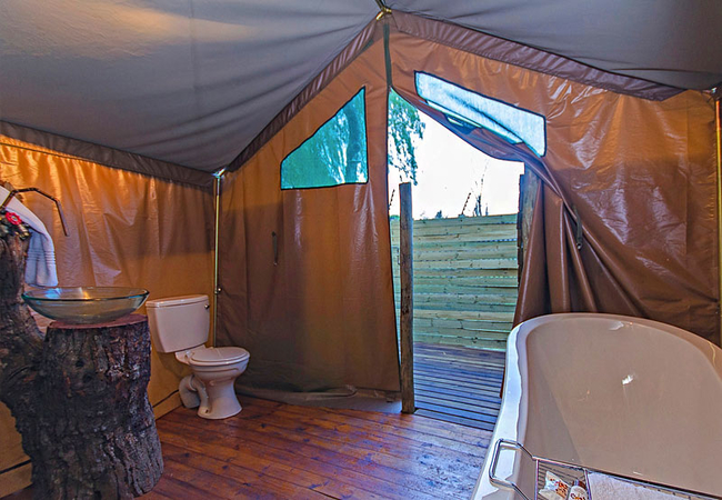 Safari Tent