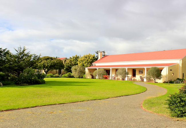 Strandveld Vineyard