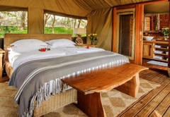 Stream Tented King Suites