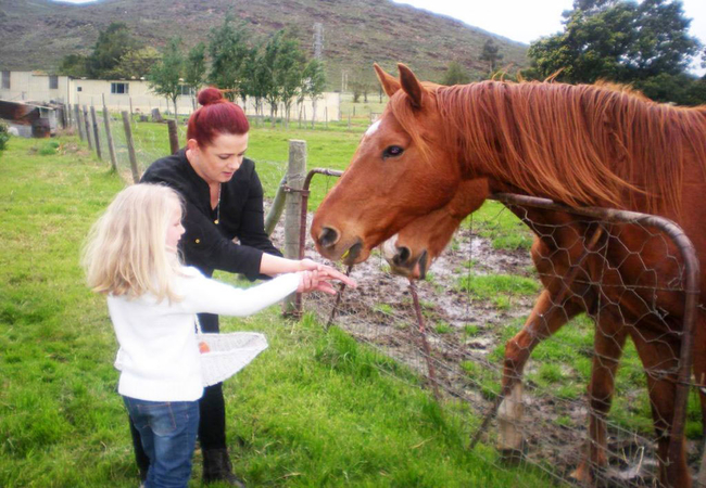 Summerhill Guest Farm