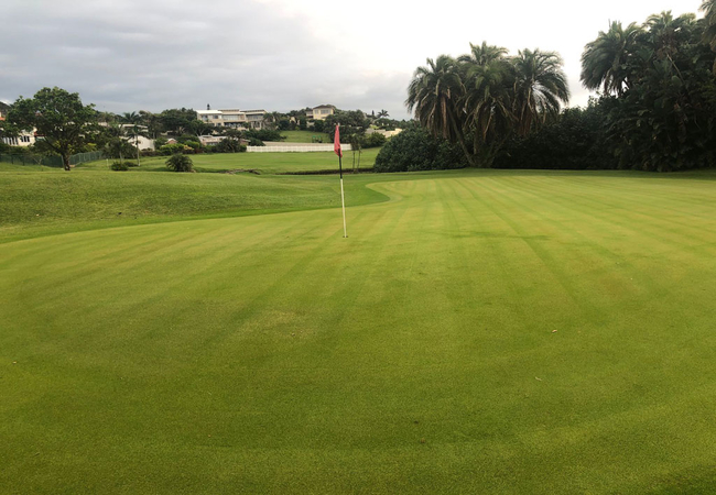 Sunbirds Bed and Breakfast