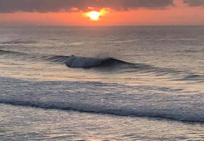 Sunbirds Bed and Breakfast