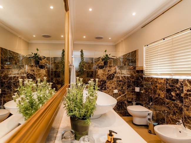 Luxury Suite: Tigers Eye