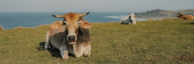 Swell Eco Lodge