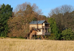 Sycamore Avenue Treehouses