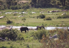 Tamboti River Lodge