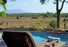 Tangala Safari Camp