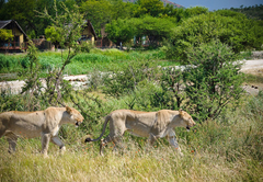 Tau Game Lodge