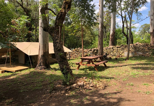 Tegwaan Glamping