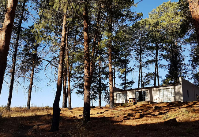 Tegwaan Pine Cottage