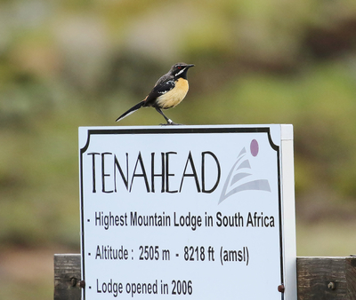 Tenahead Mountain Lodge & Spa