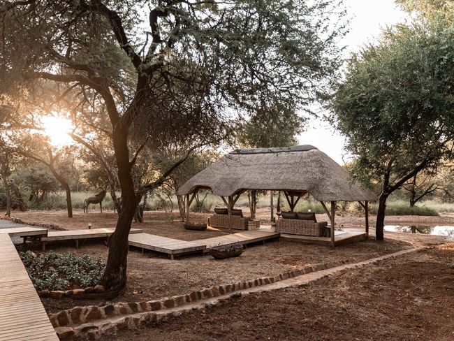 The Bush Suites