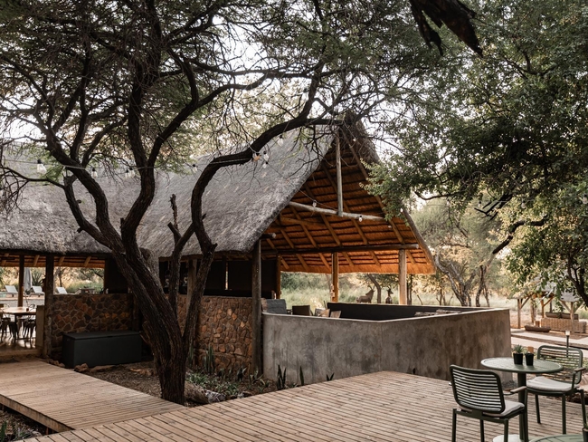 The Bush Suites