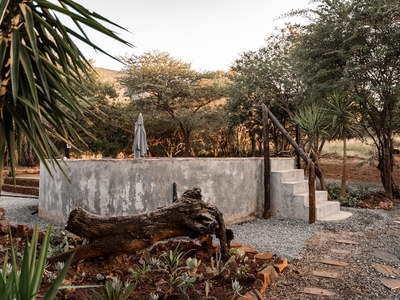 The Bush Suites
