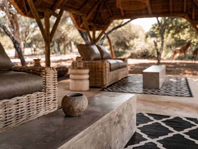 The Bush Suites